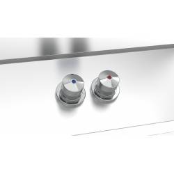 Lavamanos autónomo doble pulsador fría y caliente Lavamanos Inox Portátil Fricosmos FC-061466