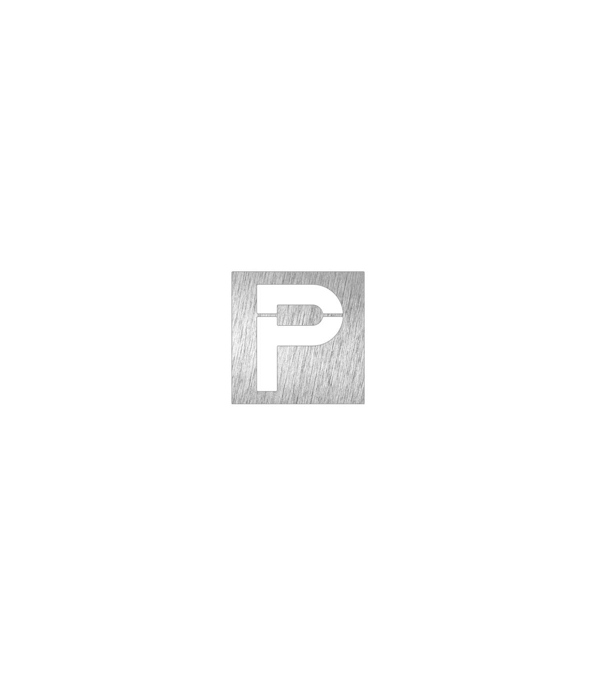 Pictograma Inox Parking Pictogramas Inox  FC-P082642