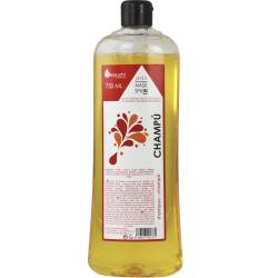 Botella Champú 750ml 28 uds Champú Geyushi GY-B750CHD